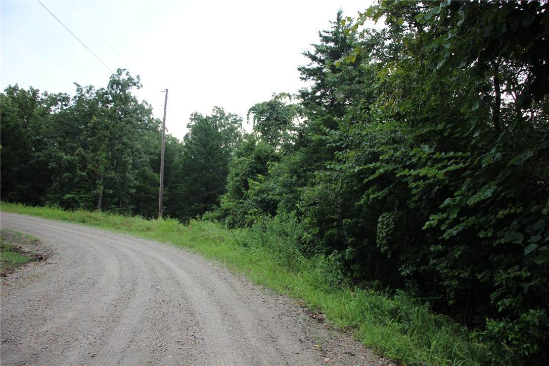 001-02314-001 Green Forest Trail - Photo 1