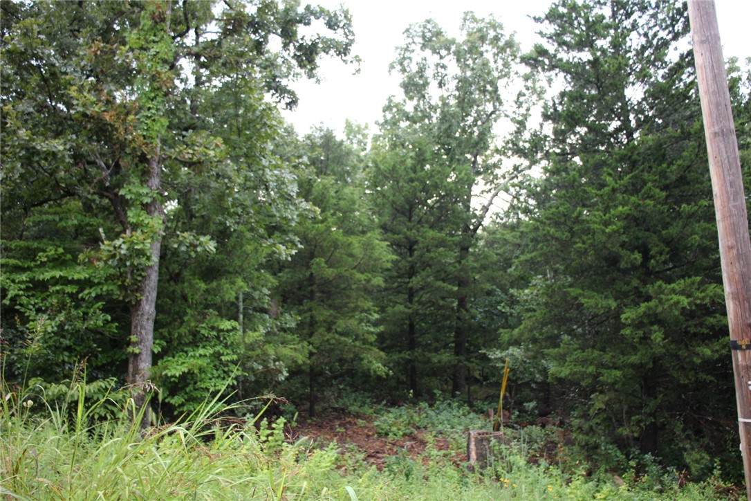 https://bt-photos.global.ssl.fastly.net/arkansas/orig_boomver_1_1355635-2.jpg