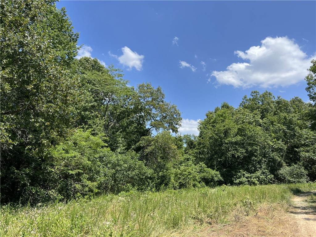  Meadow Creek Drive - Photo 1