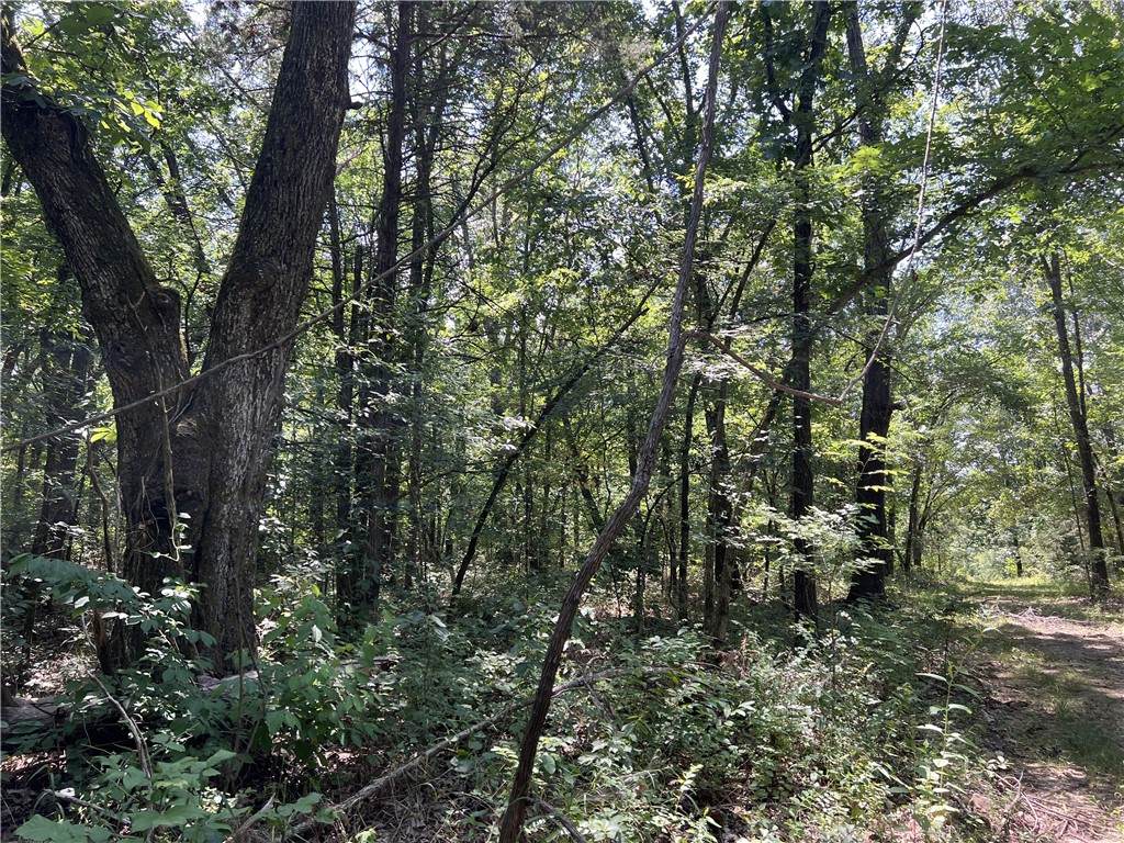 https://bt-photos.global.ssl.fastly.net/arkansas/orig_boomver_1_1355701-2.jpg