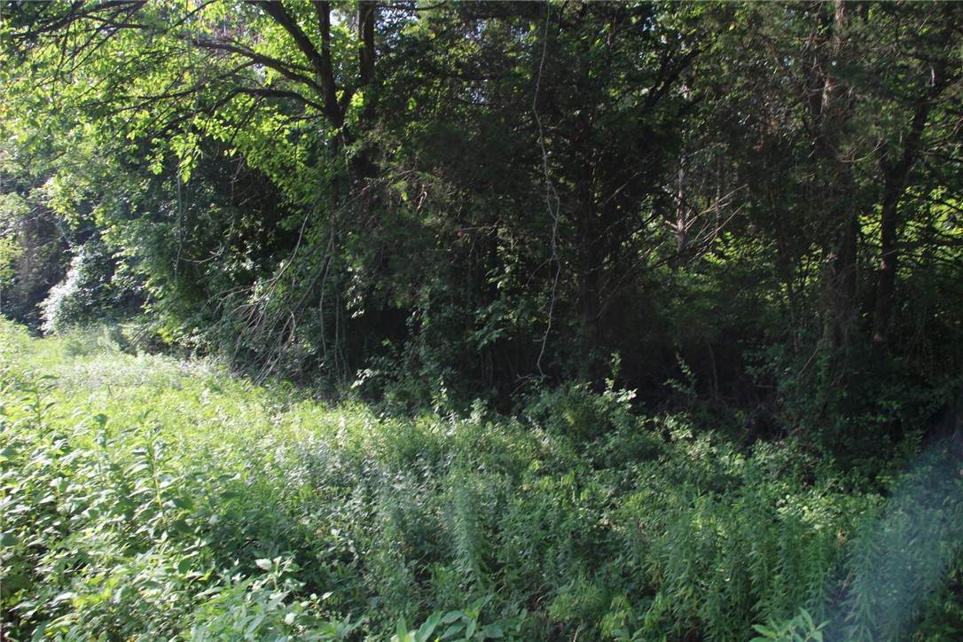 https://bt-photos.global.ssl.fastly.net/arkansas/orig_boomver_1_1355933-2.jpg