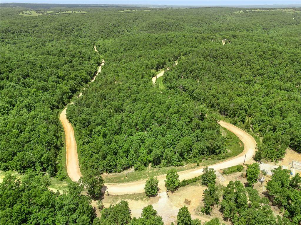 TBD Morgan Cave Road - Photo 1