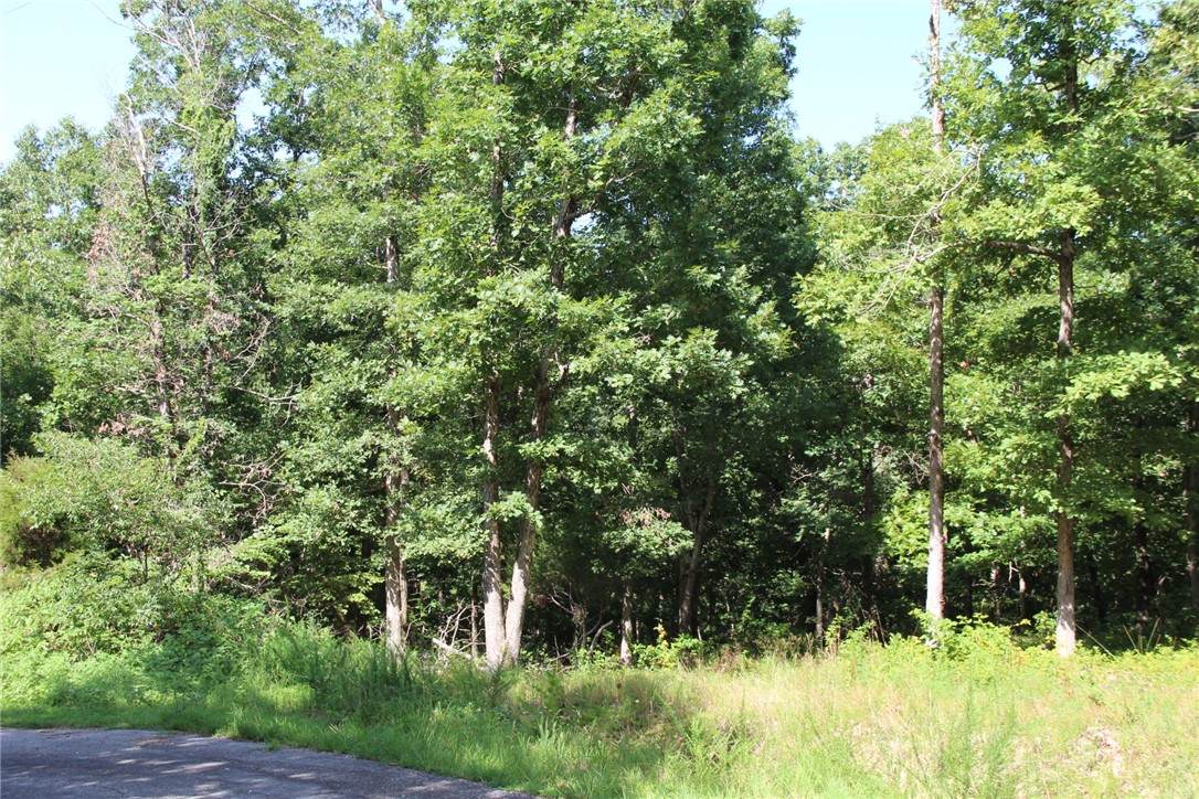 https://bt-photos.global.ssl.fastly.net/arkansas/orig_boomver_1_1356009-2.jpg