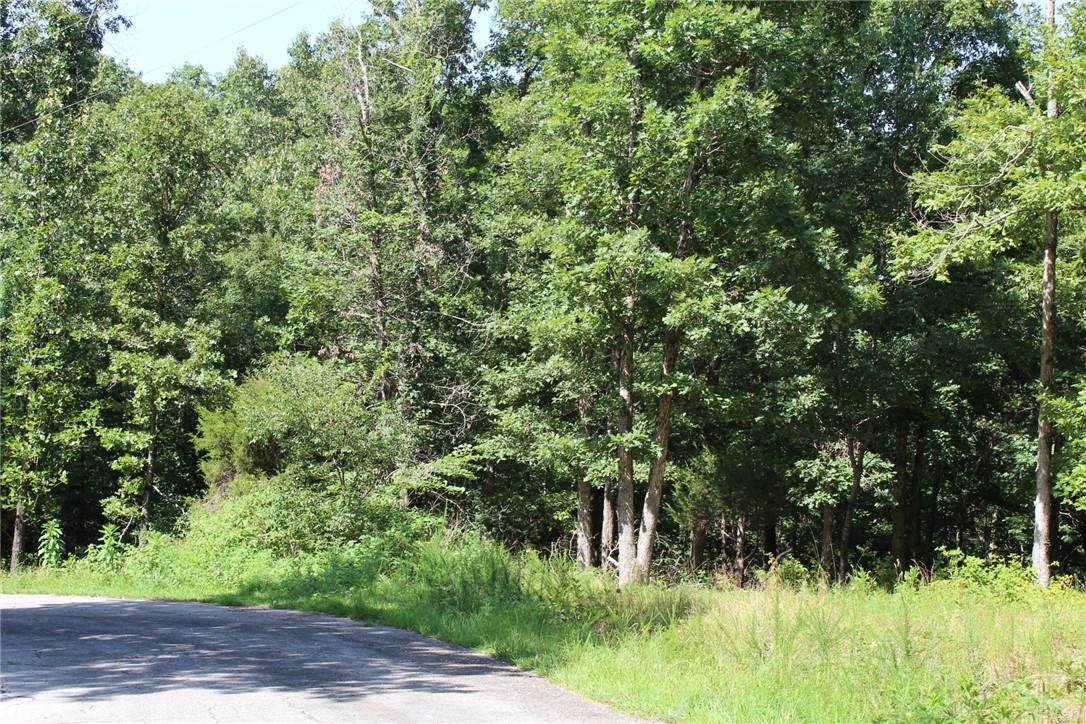 https://bt-photos.global.ssl.fastly.net/arkansas/orig_boomver_1_1356009-2.jpg