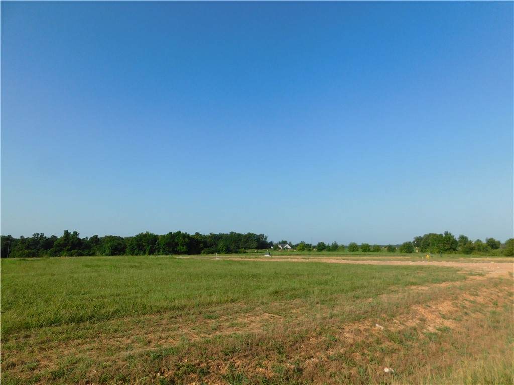 https://bt-photos.global.ssl.fastly.net/arkansas/orig_boomver_1_1356037-2.jpg