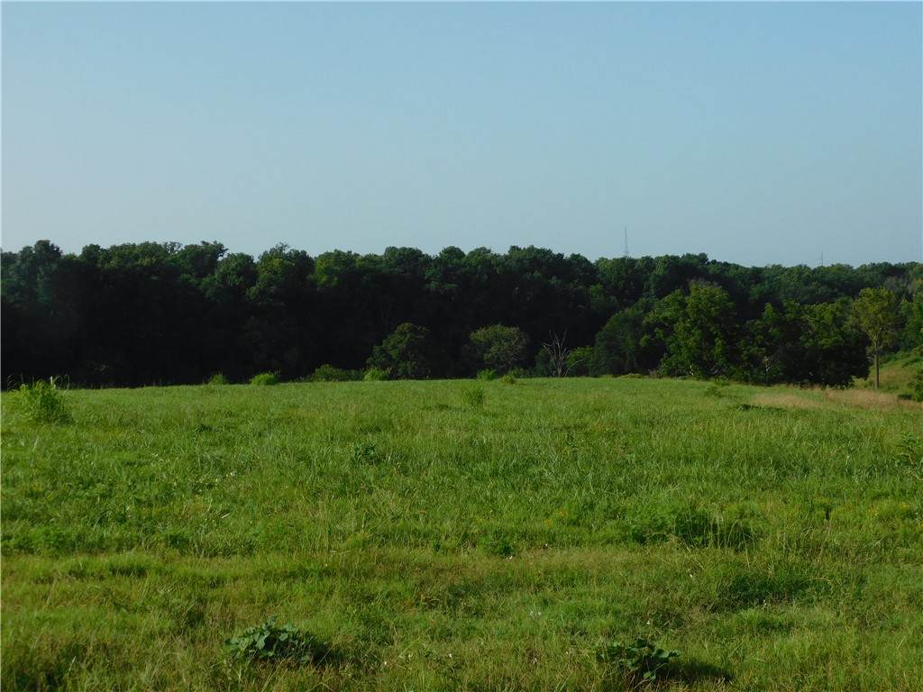 https://bt-photos.global.ssl.fastly.net/arkansas/orig_boomver_1_1356089-2.jpg