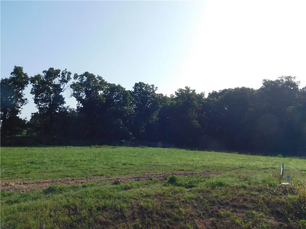 https://bt-photos.global.ssl.fastly.net/arkansas/orig_boomver_1_1356089-2.jpg
