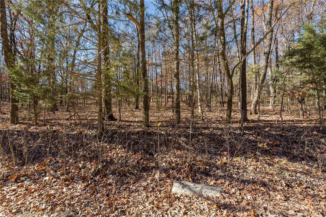  Madison 6021 - Photo 1