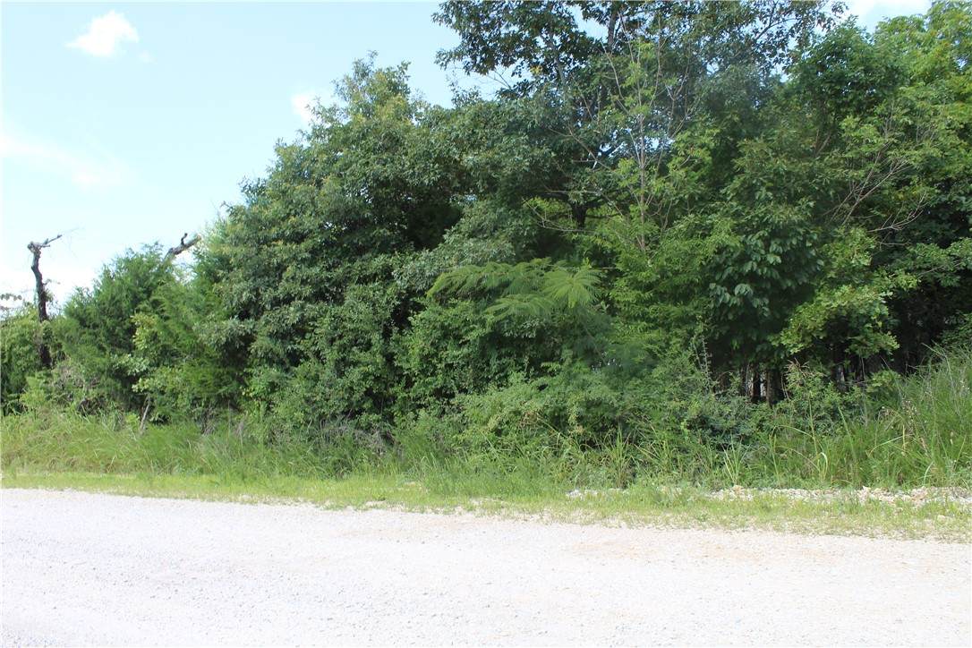 019-02950-000 Horseshoe Bend Drive - Photo 1