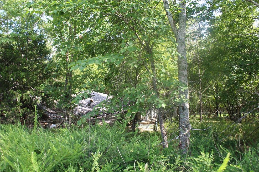 https://bt-photos.global.ssl.fastly.net/arkansas/orig_boomver_1_1356249-2.jpg
