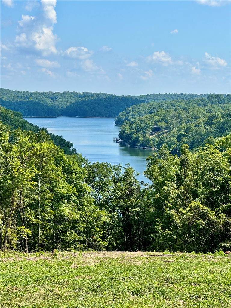 https://bt-photos.global.ssl.fastly.net/arkansas/orig_boomver_1_1356308-2.jpg