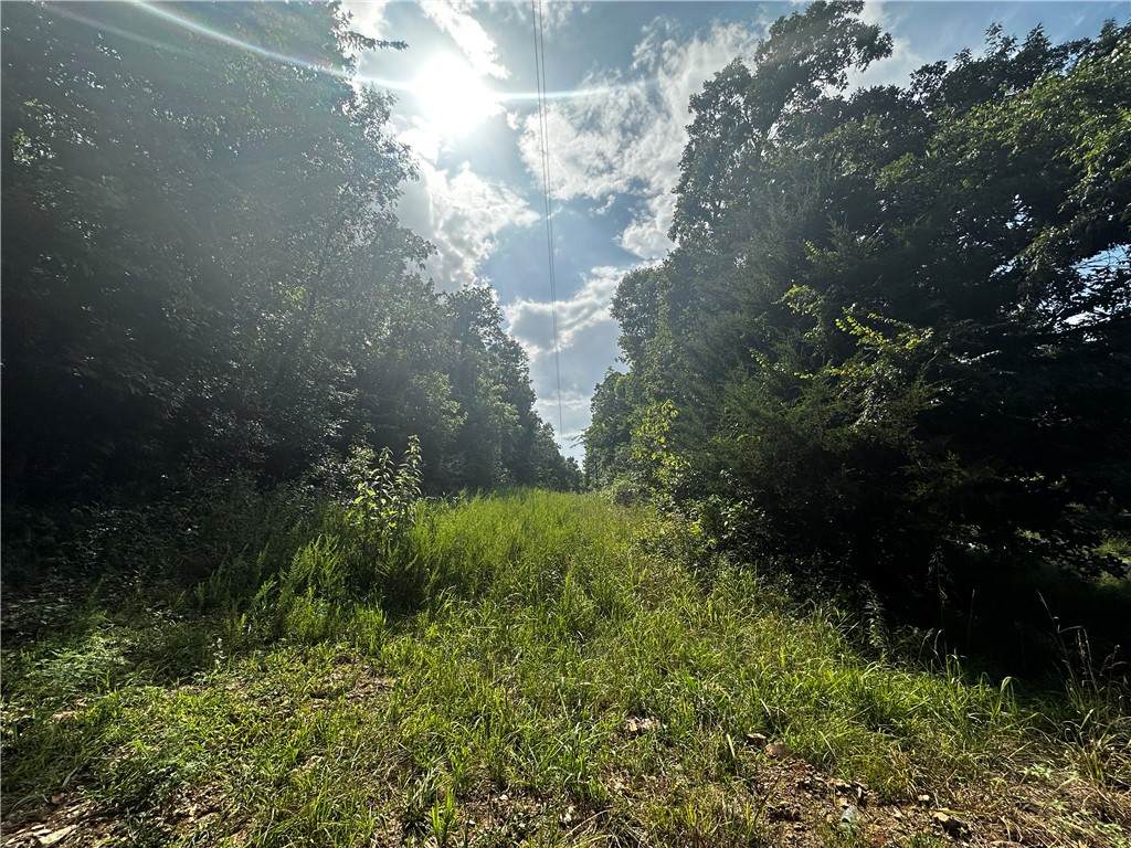 https://bt-photos.global.ssl.fastly.net/arkansas/orig_boomver_1_1356324-2.jpg