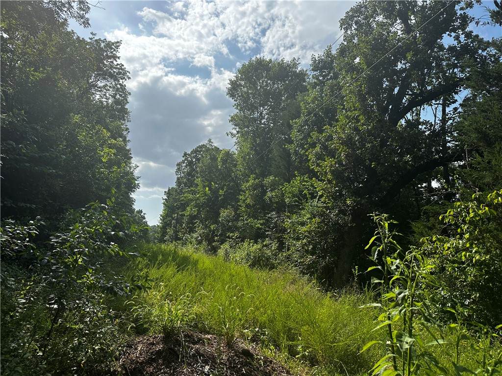 https://bt-photos.global.ssl.fastly.net/arkansas/orig_boomver_1_1356324-2.jpg