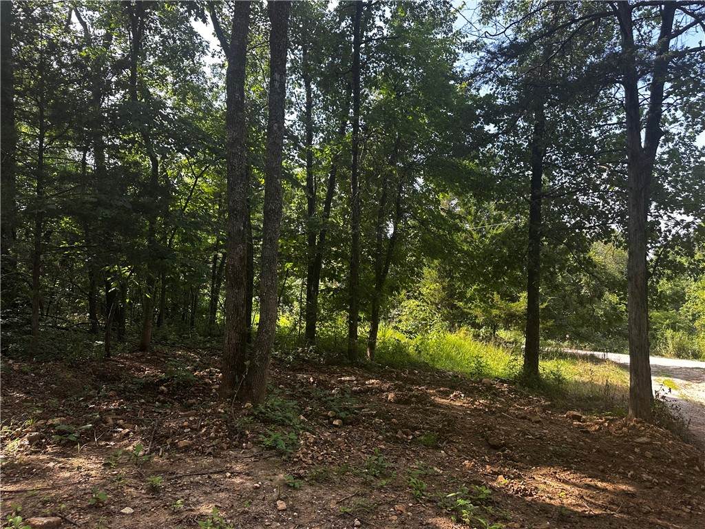 https://bt-photos.global.ssl.fastly.net/arkansas/orig_boomver_1_1356324-2.jpg