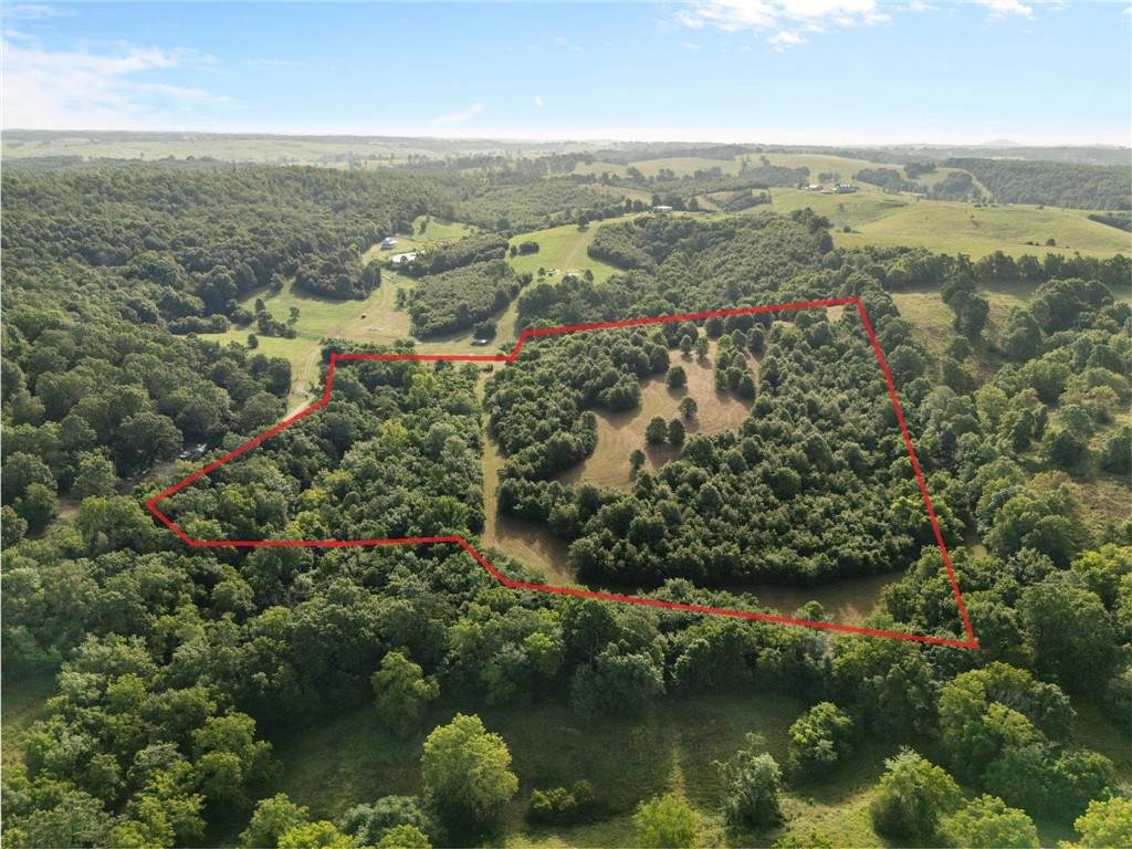 TBD (24 acres) Donkey Trail - Photo 1
