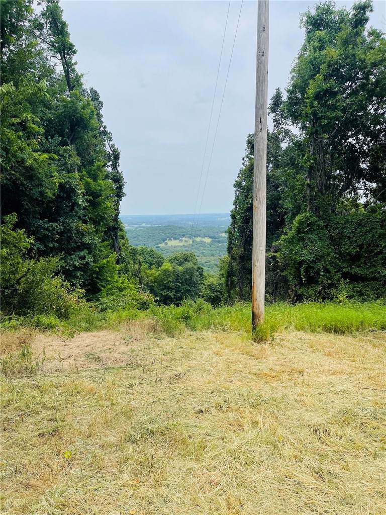 https://bt-photos.global.ssl.fastly.net/arkansas/orig_boomver_1_1356413-2.jpg