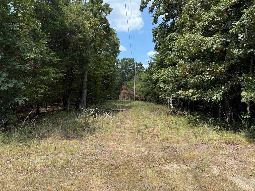 00 Norris Lane - Photo 1