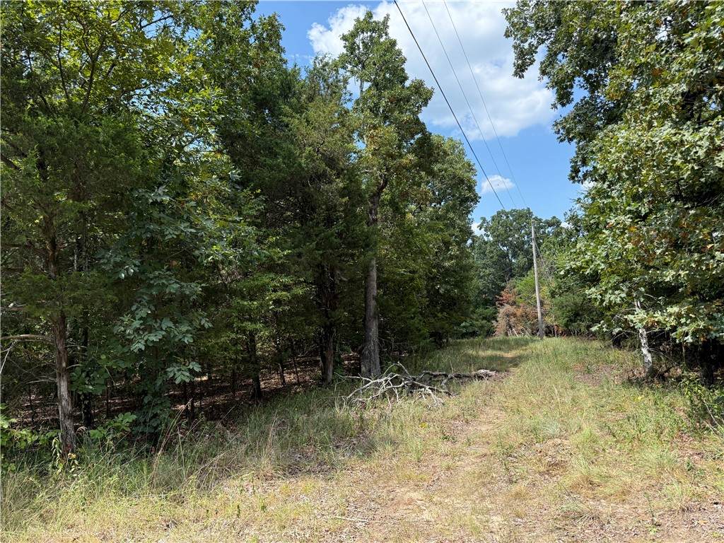 https://bt-photos.global.ssl.fastly.net/arkansas/orig_boomver_1_1356566-2.jpg