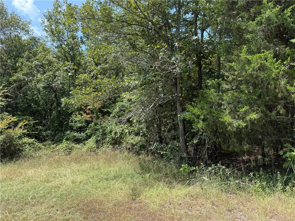 https://bt-photos.global.ssl.fastly.net/arkansas/orig_boomver_1_1356566-2.jpg