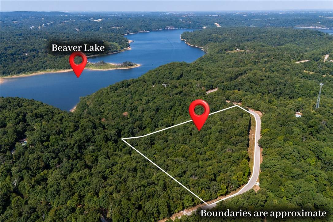 https://bt-photos.global.ssl.fastly.net/arkansas/orig_boomver_1_1356586-2.jpg
