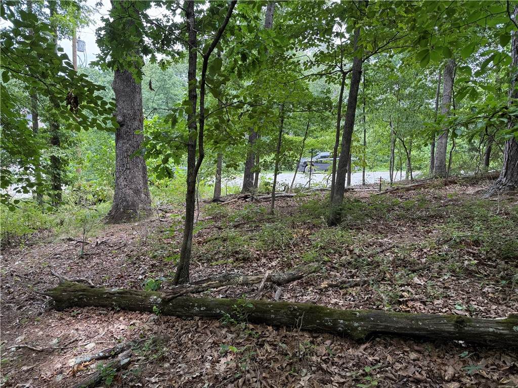 https://bt-photos.global.ssl.fastly.net/arkansas/orig_boomver_1_1356701-2.jpg
