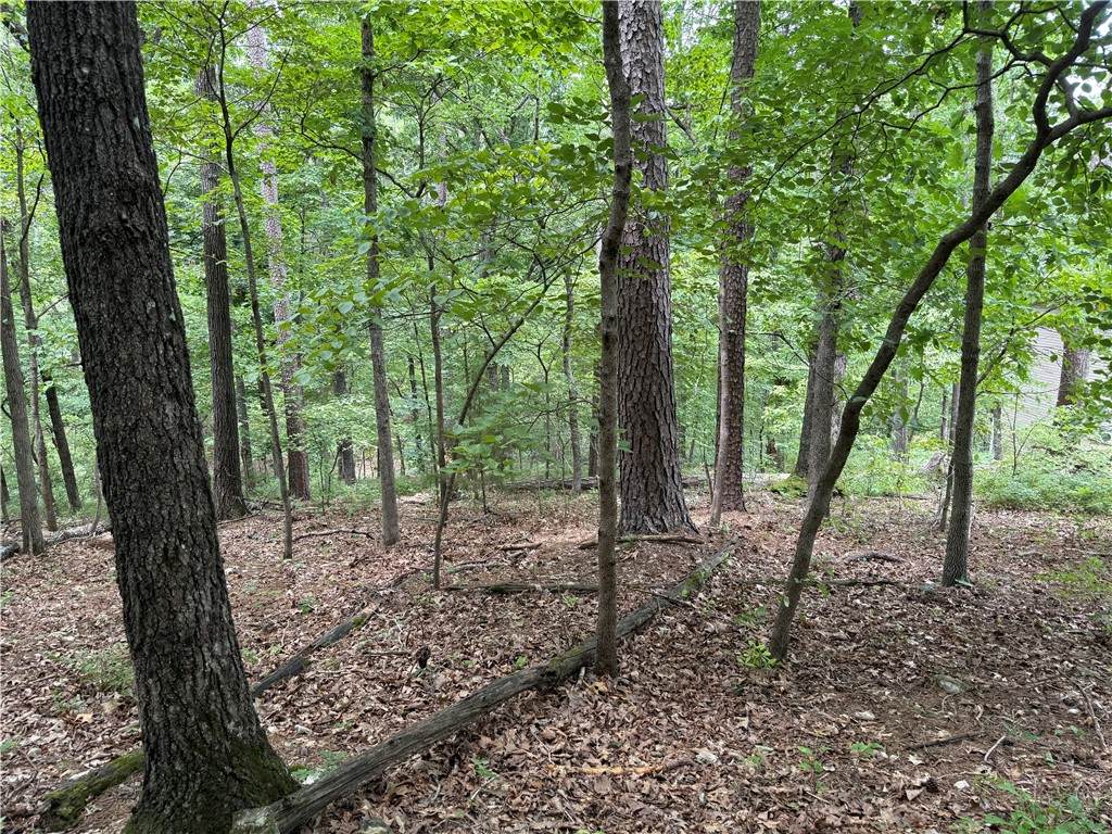 https://bt-photos.global.ssl.fastly.net/arkansas/orig_boomver_1_1356701-2.jpg