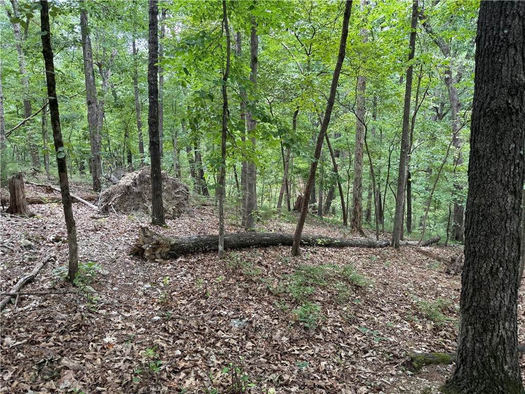 https://bt-photos.global.ssl.fastly.net/arkansas/orig_boomver_1_1356701-2.jpg