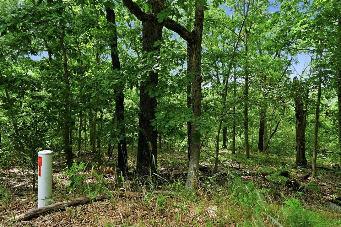 https://bt-photos.global.ssl.fastly.net/arkansas/orig_boomver_1_1356873-2.jpg