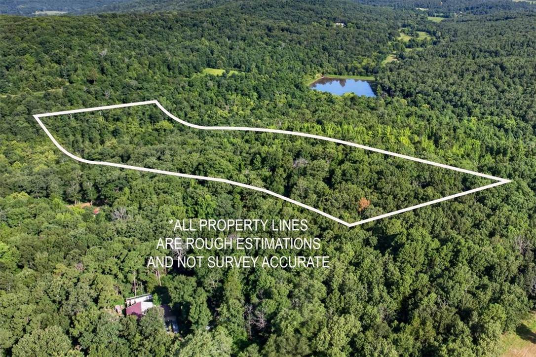  9.95 Acres Madison 2347 - Photo 1