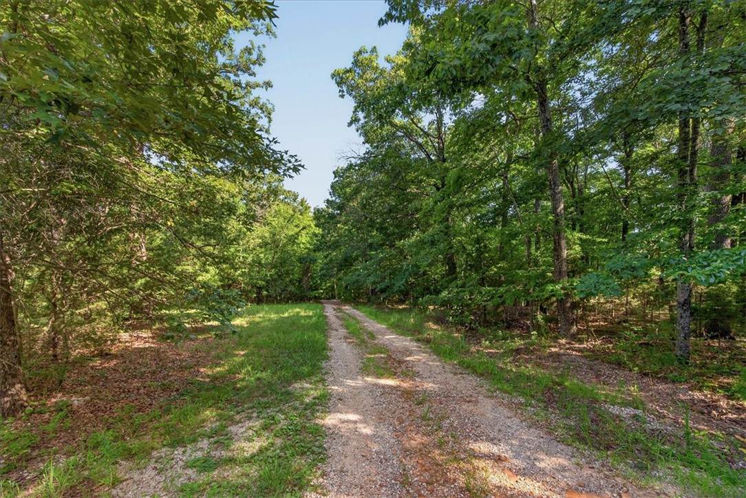 https://bt-photos.global.ssl.fastly.net/arkansas/orig_boomver_1_1356886-2.jpg