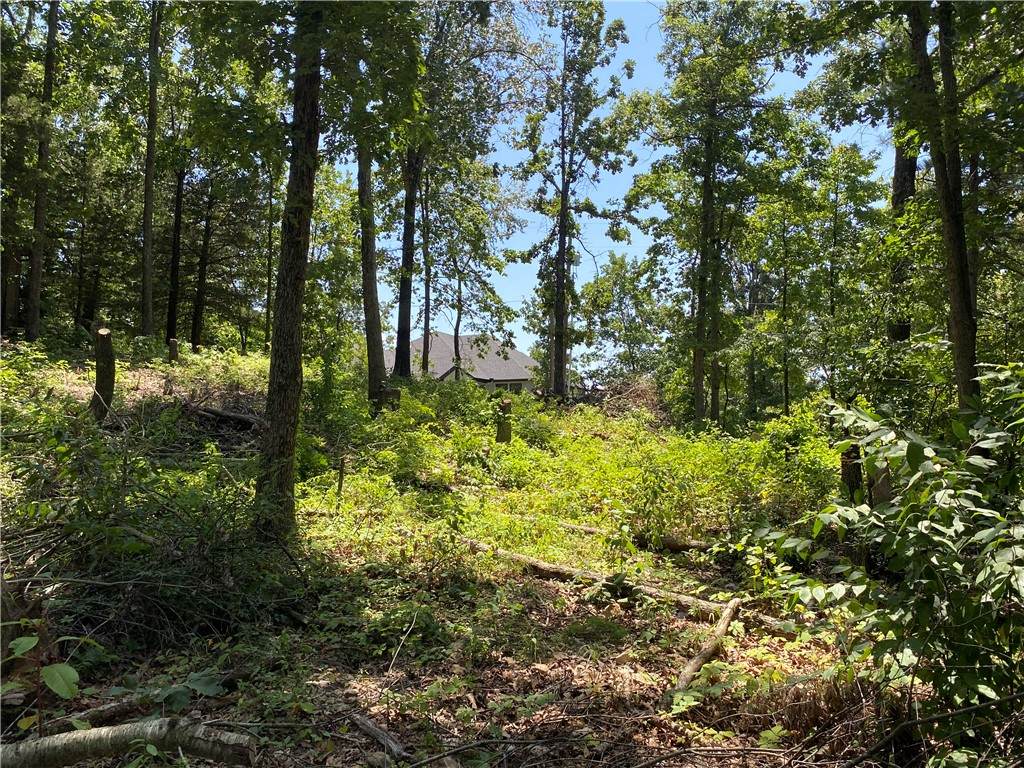 TBD Pinehurst Drive - Photo 1