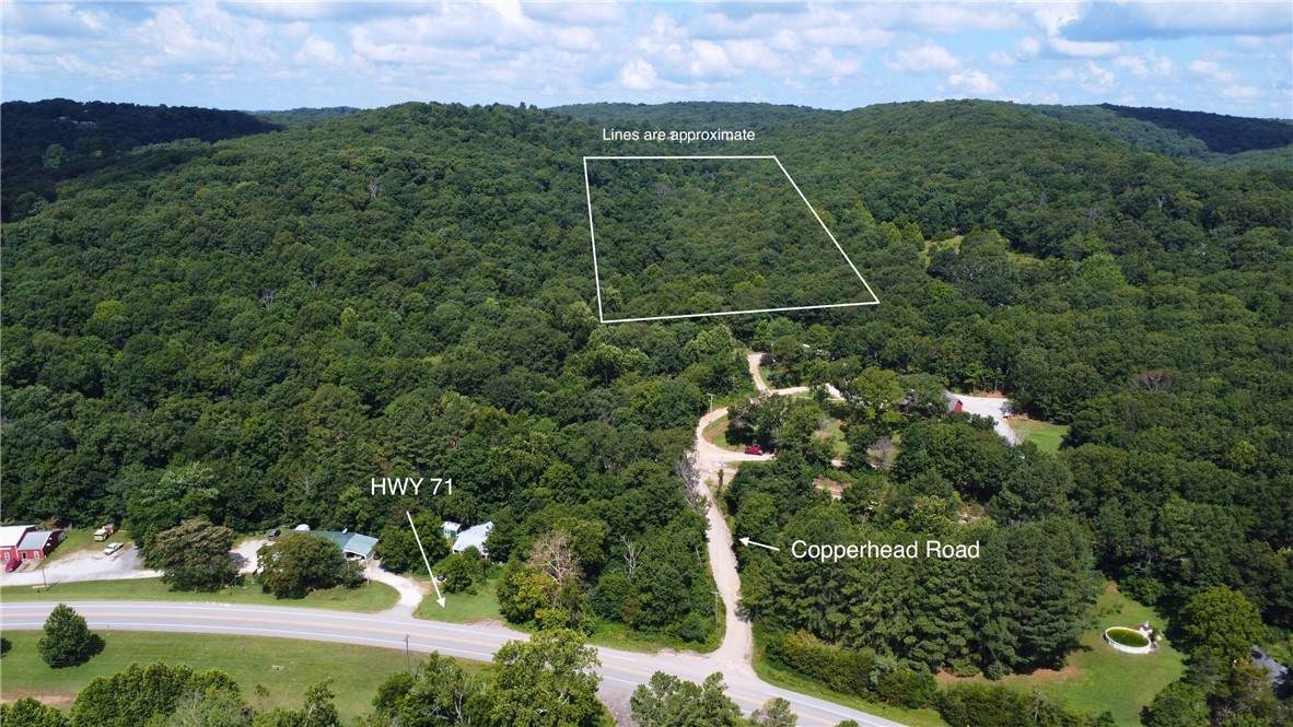 TBD Pine Haven Drive - Photo 1