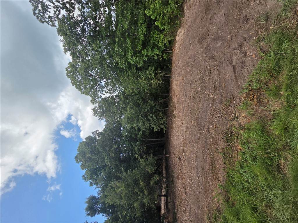 https://bt-photos.global.ssl.fastly.net/arkansas/orig_boomver_1_1357050-2.jpg