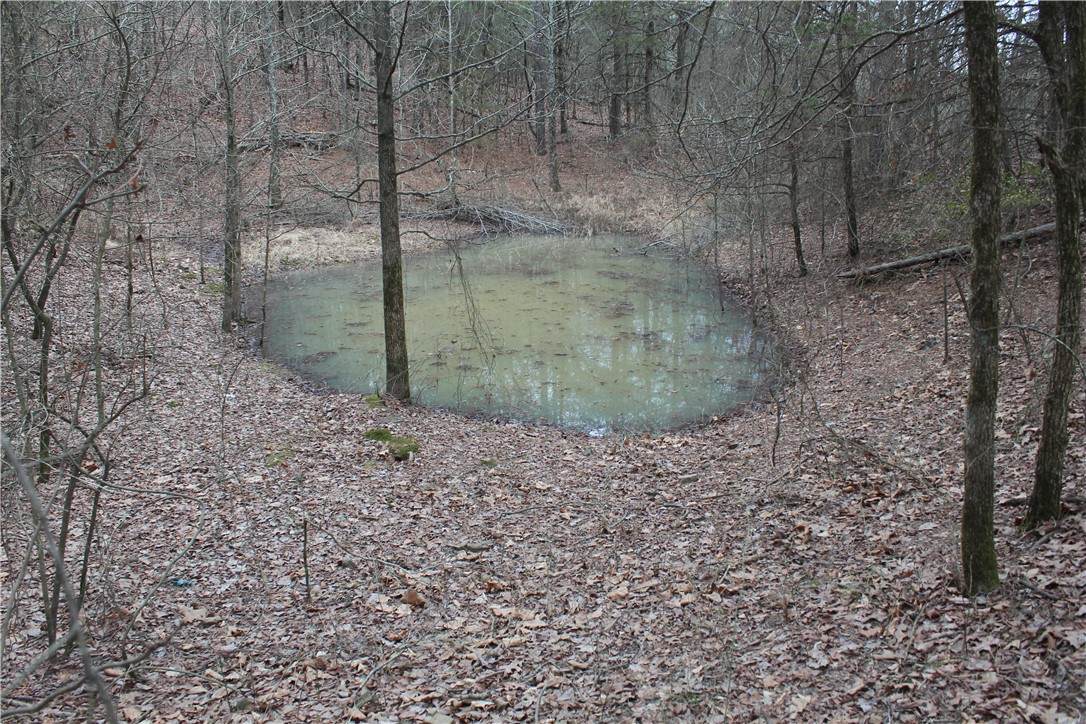 https://bt-photos.global.ssl.fastly.net/arkansas/orig_boomver_1_1357083-2.jpg