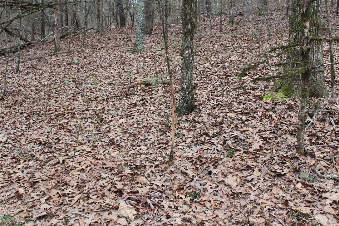 https://bt-photos.global.ssl.fastly.net/arkansas/orig_boomver_1_1357083-2.jpg