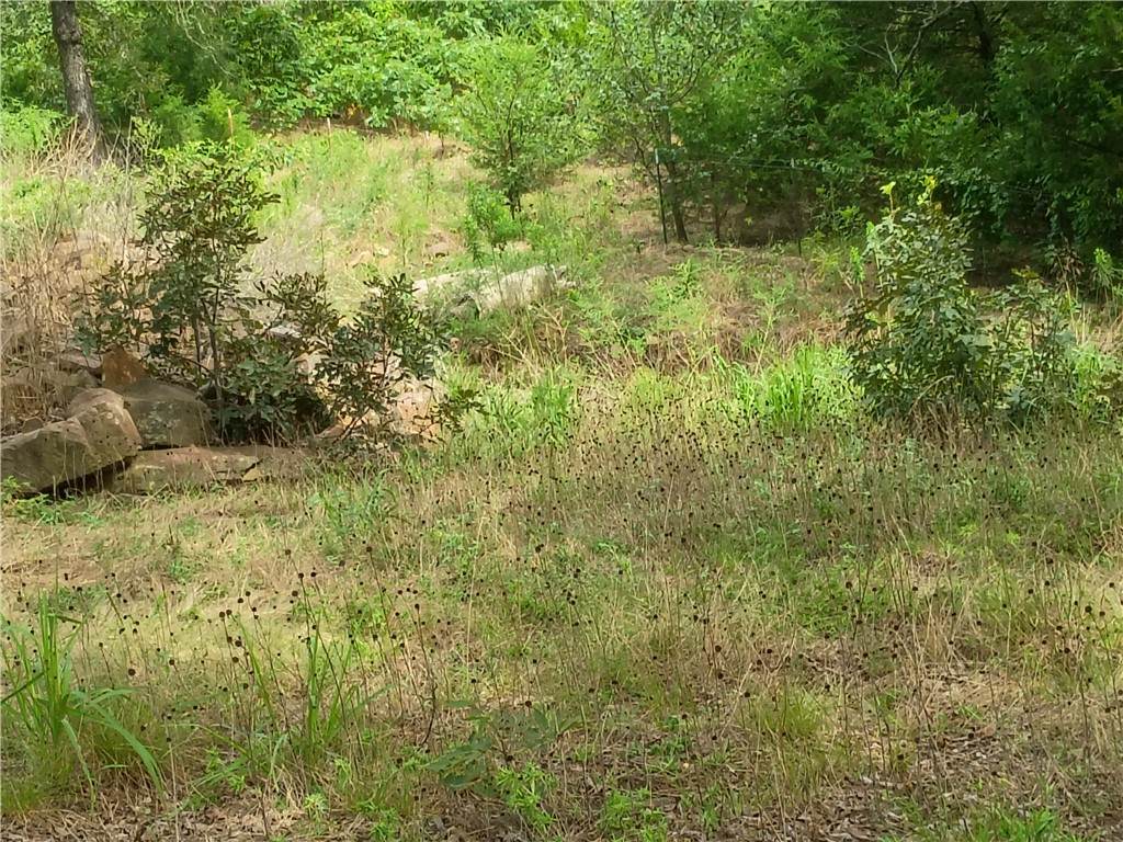 https://bt-photos.global.ssl.fastly.net/arkansas/orig_boomver_1_1357133-2.jpg