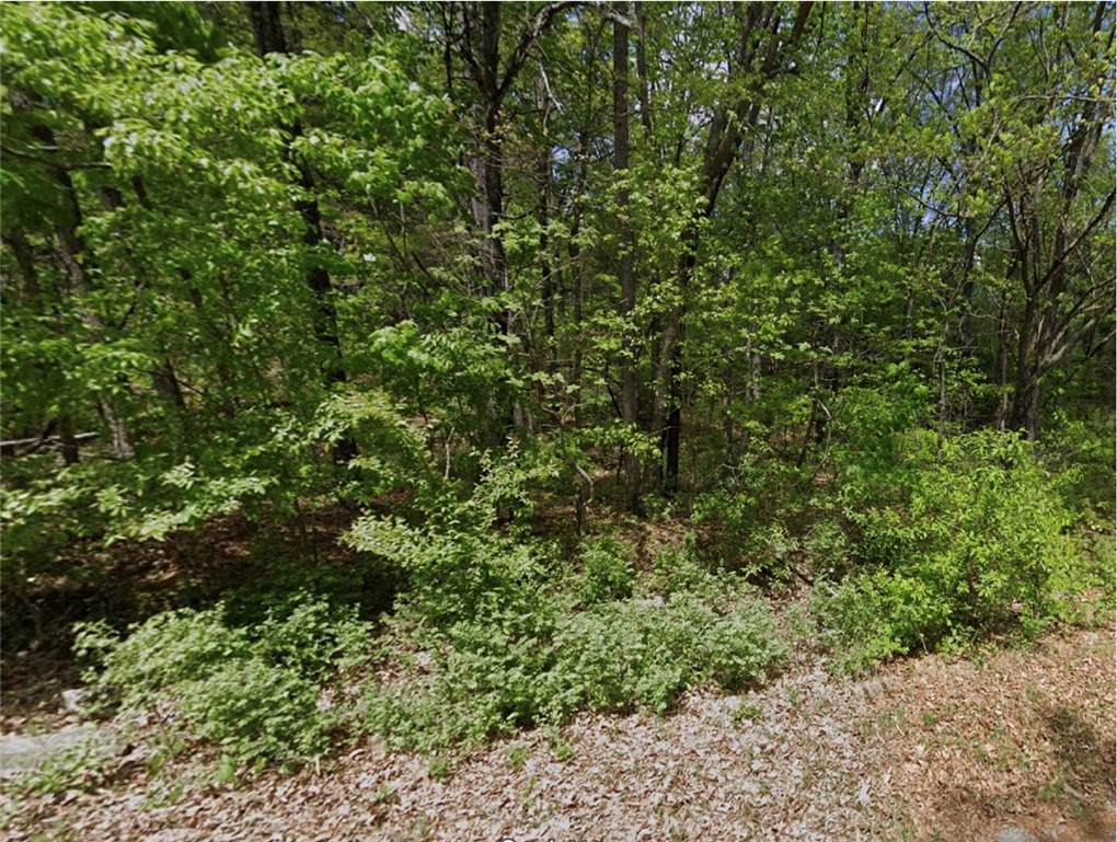  Chelmsworth Circle - Photo 1