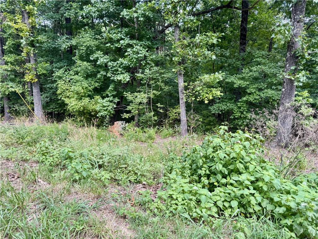 https://bt-photos.global.ssl.fastly.net/arkansas/orig_boomver_1_1357267-2.jpg