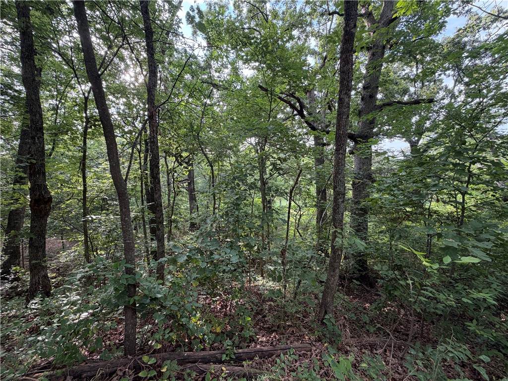 https://bt-photos.global.ssl.fastly.net/arkansas/orig_boomver_1_1357310-2.jpg