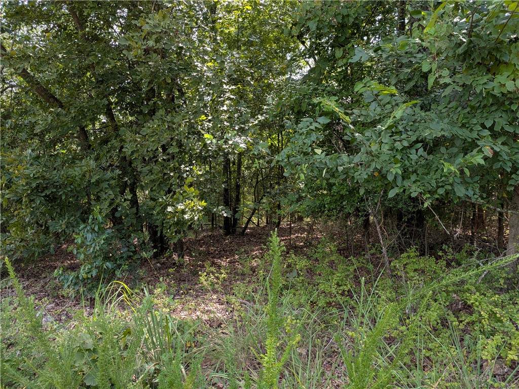 000 Twin Fork Drive - Photo 1