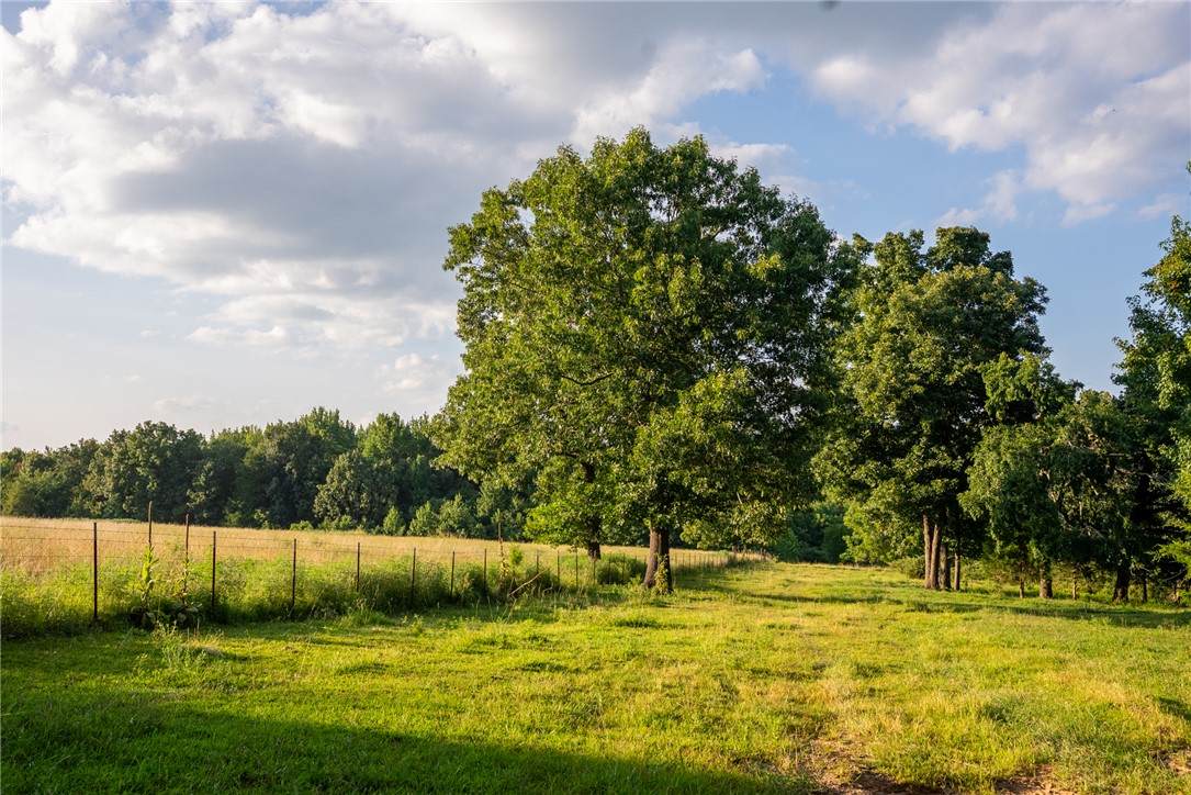 https://bt-photos.global.ssl.fastly.net/arkansas/orig_boomver_1_1357639-2.jpg