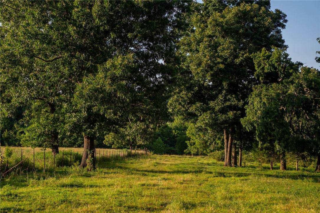 https://bt-photos.global.ssl.fastly.net/arkansas/orig_boomver_1_1357639-2.jpg