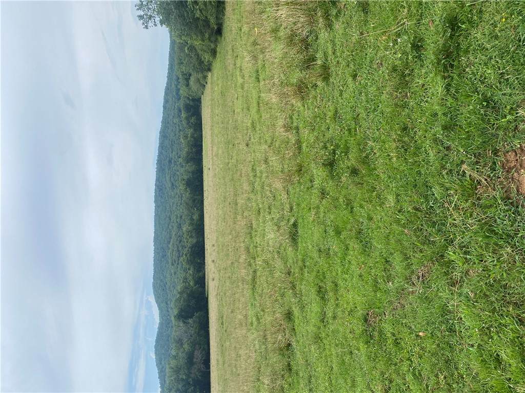  Hwy 215 - Photo 1