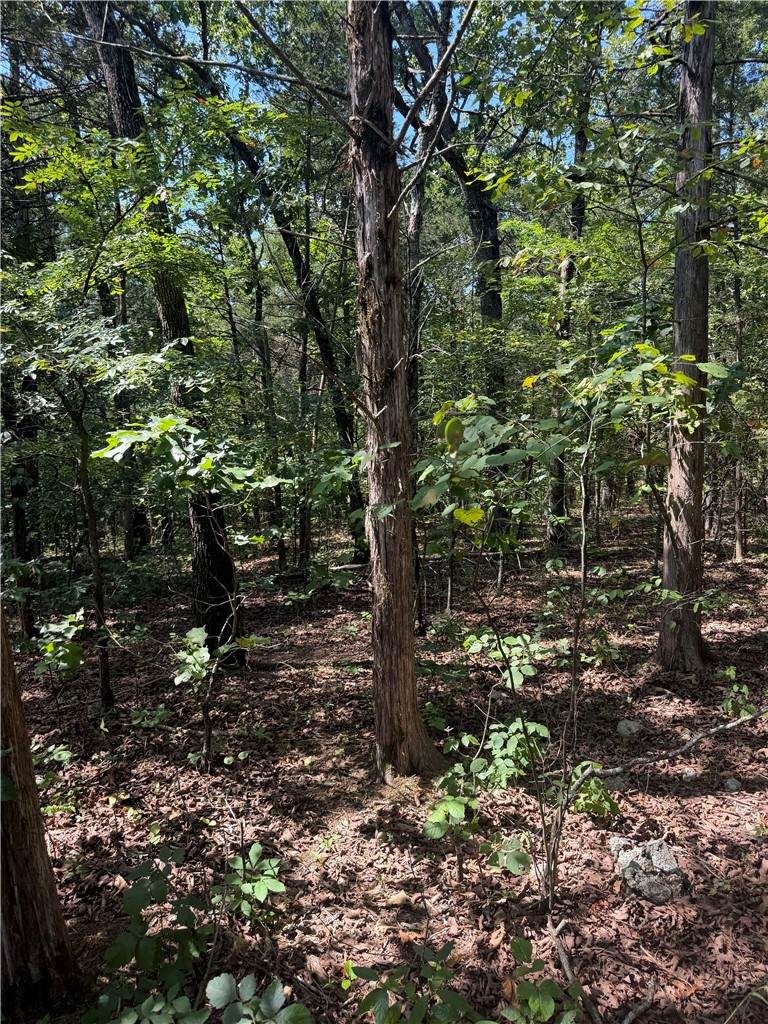TBD (Lot 18) Larchwood Drive - Photo 1