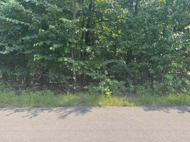 https://bt-photos.global.ssl.fastly.net/arkansas/orig_boomver_1_1357831-2.jpg