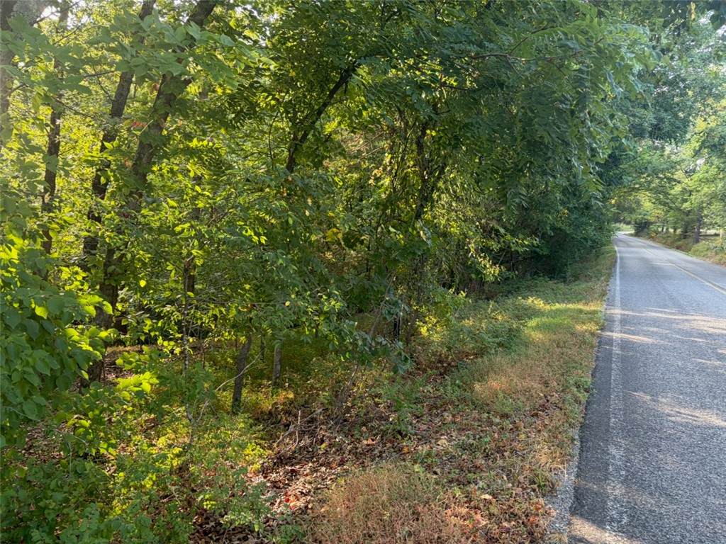  Panorama Road - Photo 1