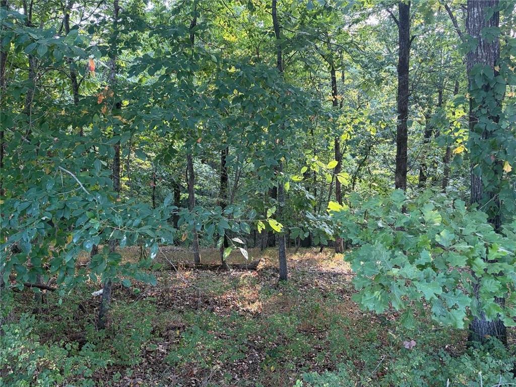 https://bt-photos.global.ssl.fastly.net/arkansas/orig_boomver_1_1358958-2.jpg