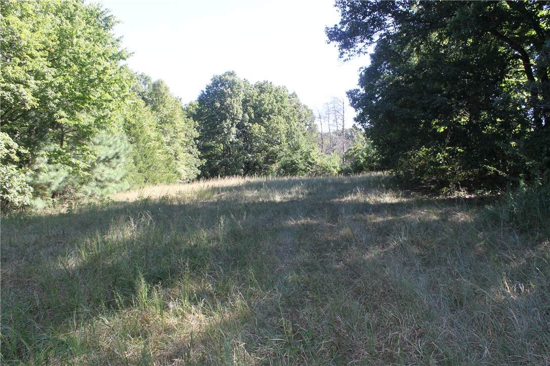 https://bt-photos.global.ssl.fastly.net/arkansas/orig_boomver_1_1360014-2.jpg
