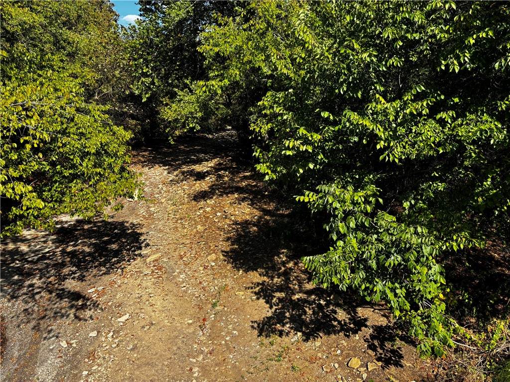 10820 & 10846 Illinois Chapel Road - Photo 1