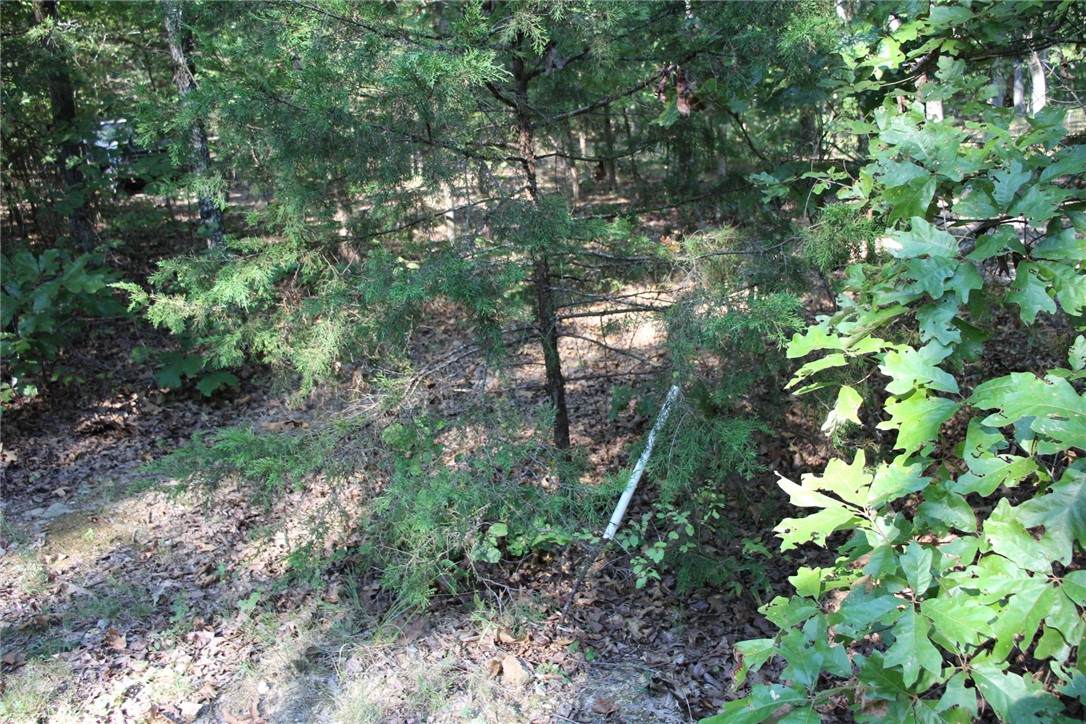 Lot 38 Jeb Road - Photo 1